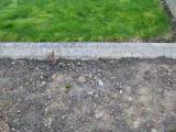 image of grave number 855841